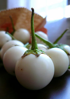 Vinete albe Delle Uova.... - De vanzare seminte -legume-mirodenii-flori-arbori