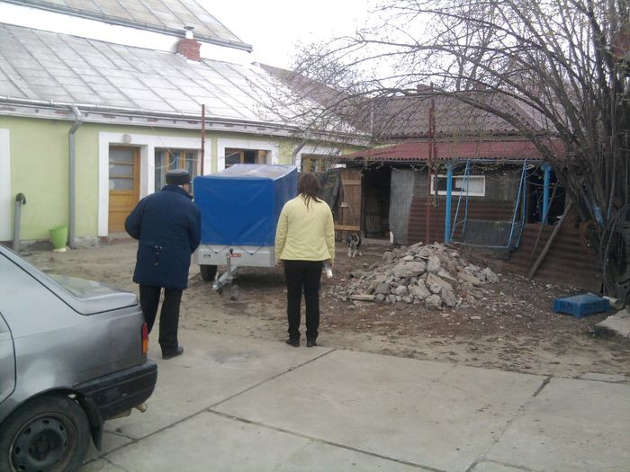 Fotografie1966 - Printul meu TUDOR