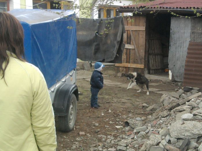 Fotografie1968 - Printul meu TUDOR