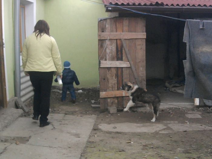 Fotografie1970 - Printul meu TUDOR