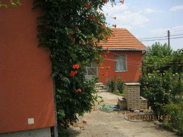 IMG_6327 - Casa noastra de la Vajuga-Serbia
