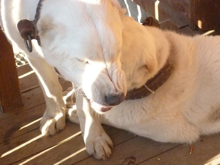 Picture 2512 - AVENTURA SOVATA IANUARIE 2014