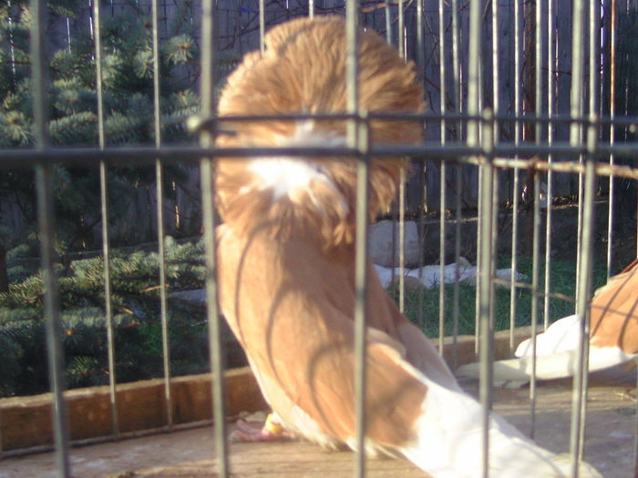 Picture 248