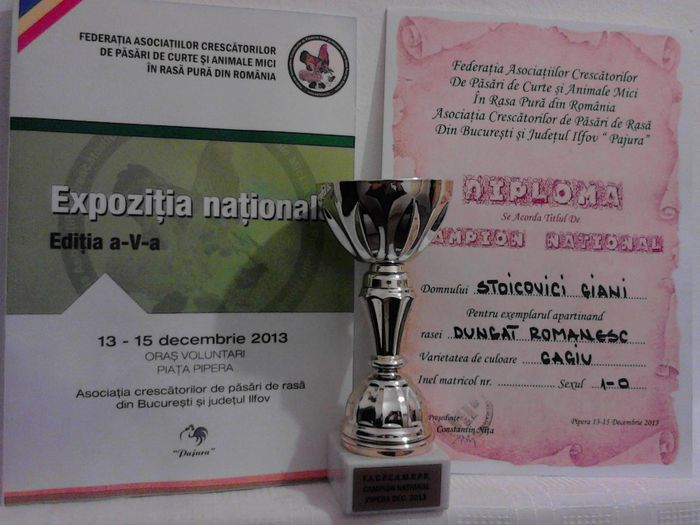 Campion Nationala Federatiei Bucuresti 2013