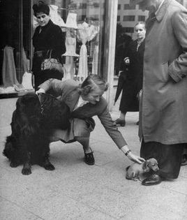 Berlin 1950 Nina Leen