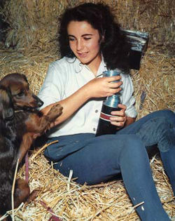 Liz Taylor