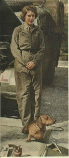 Queen Elisabeth - Teckel - lectia de istorie