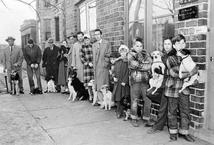  - Teckel - lectia de istorie