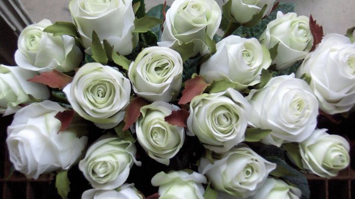 sfarsitul episodului 1