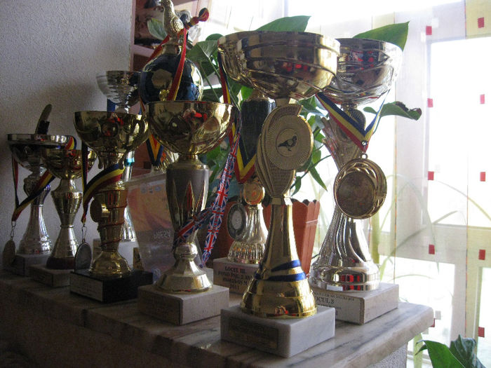 CUPE si MEDALII; cupele loate 2013
