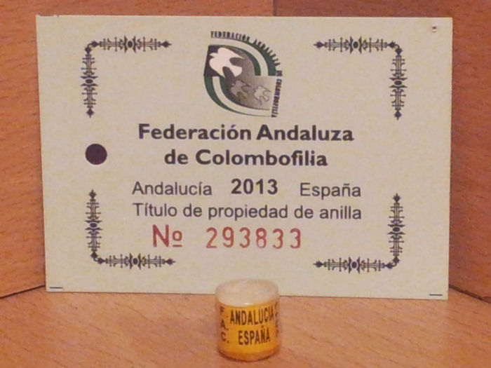 ESP 2013 Andalucia - SPANIA ANDALUZIA