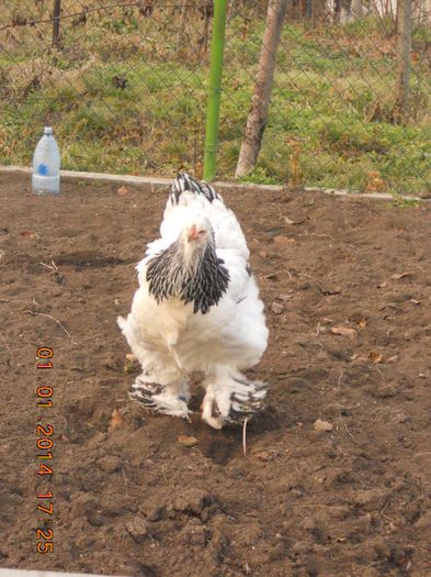 http:mariusvinga.sunphoto.ro