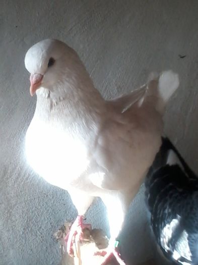 20140105_132233 - KINGI