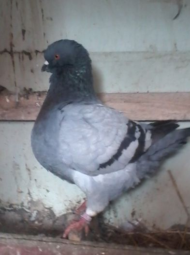 20140105_132354 - KINGI