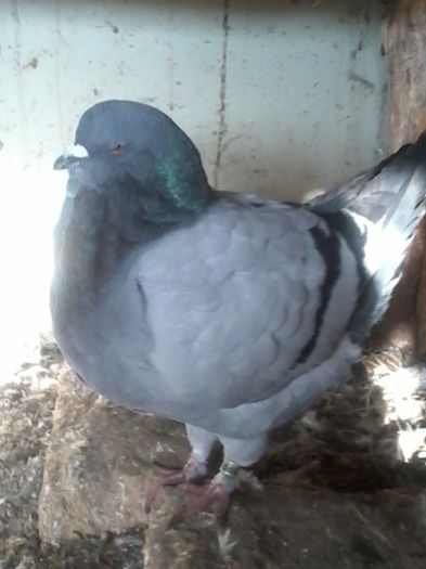 20140105_132403 - KINGI