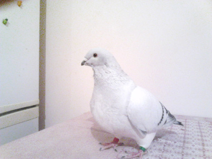 IMG_20140104_203327_259; F:2013
