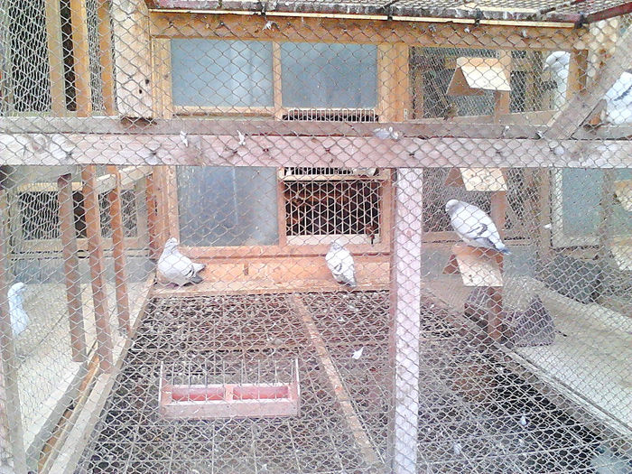 IMG_20140105_135326_499