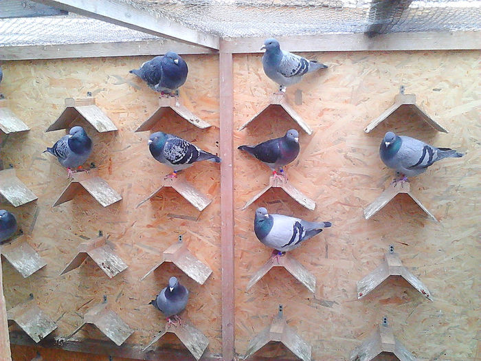 IMG_20140105_135343_126