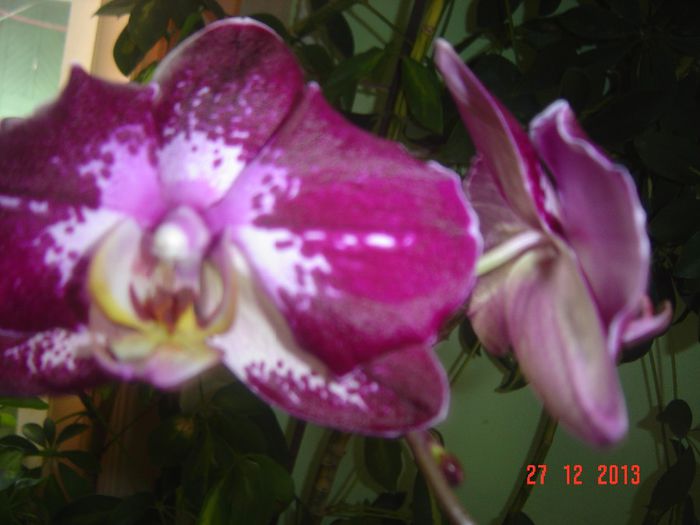 Picture 078