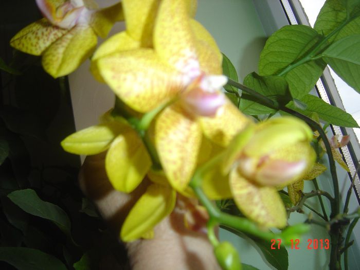 Picture 083