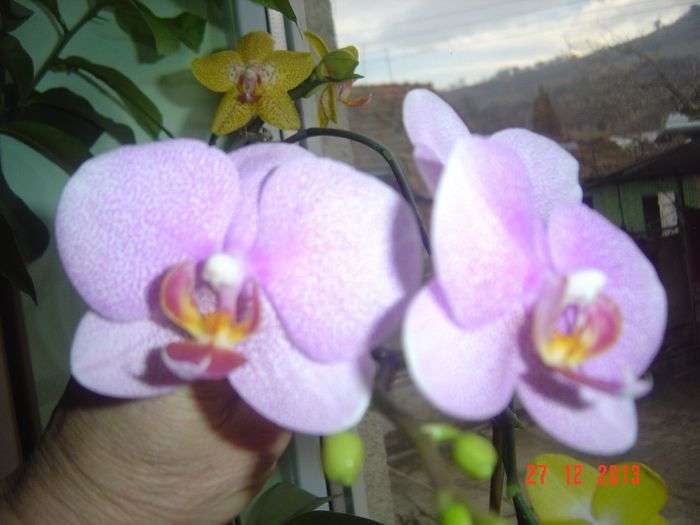 Picture 084