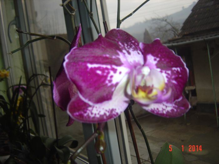 Picture 094