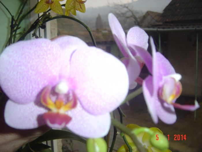 Picture 099