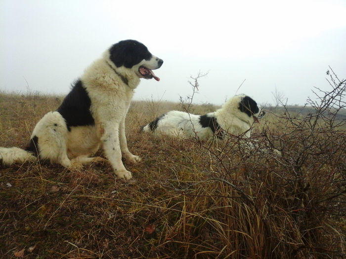 20140105_140319 - Molda