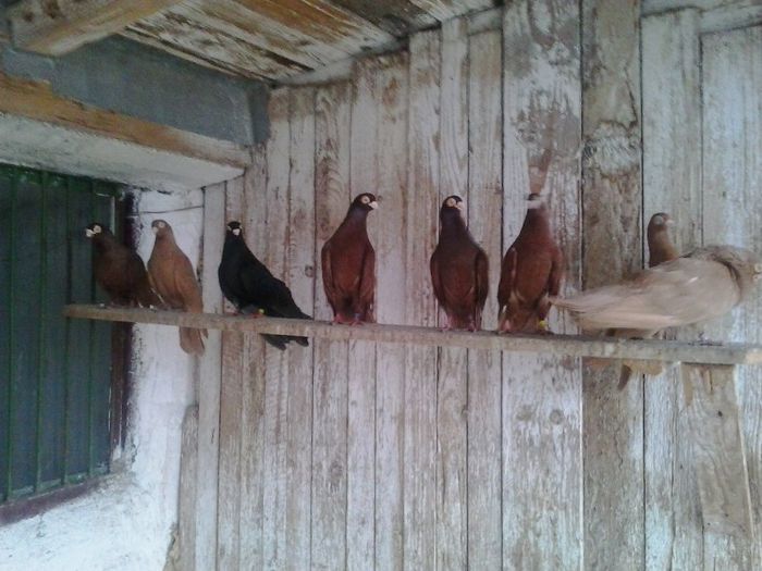 Picture2014 - simplii