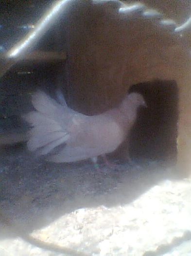 Imag0024