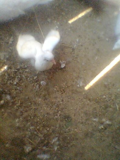 Imag0090