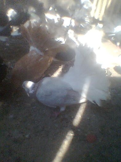 Imag0091
