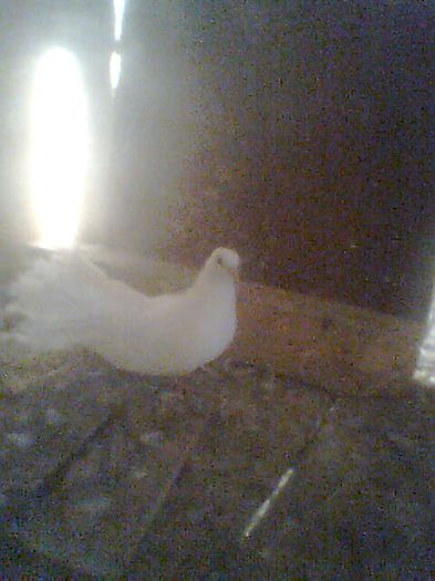 Imag0101