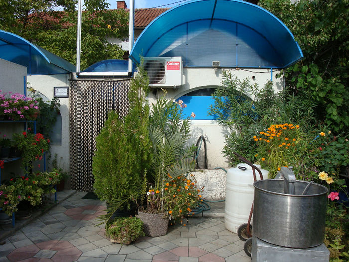 Kladovo, la intrae in birt.