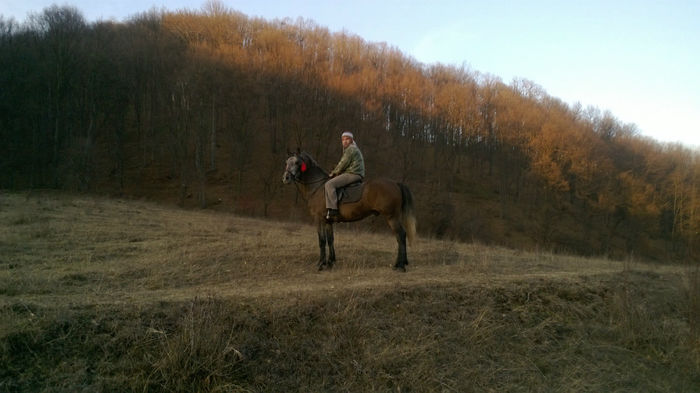 WP_20131228_008 - MY HORSES