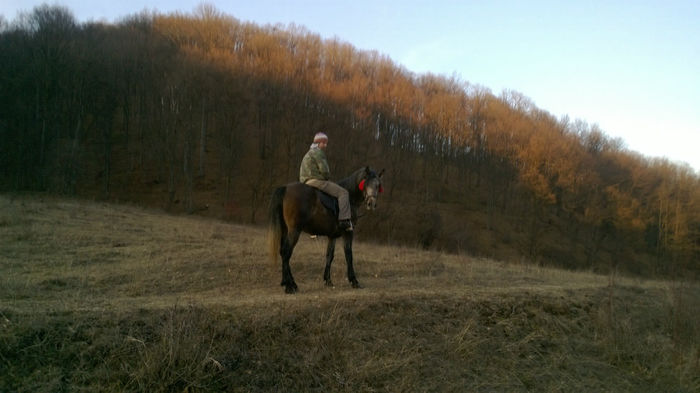 WP_20131228_017 - MY HORSES