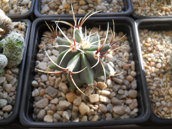 DSCN6791