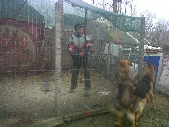 IMG01109-20140105-1534