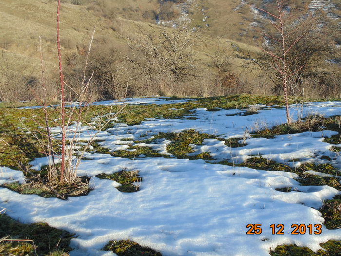 DSC00105