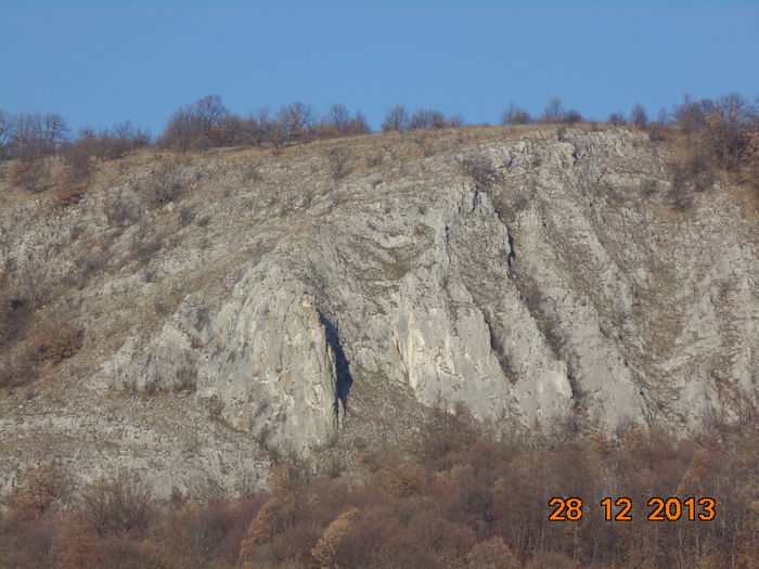 DSC00206