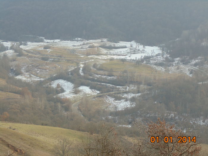 DSC00327