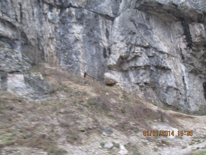 IMG_1969 - Pe Valea Sohodolului in ianuarie