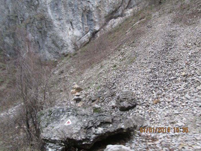IMG_1970 - Pe Valea Sohodolului in ianuarie