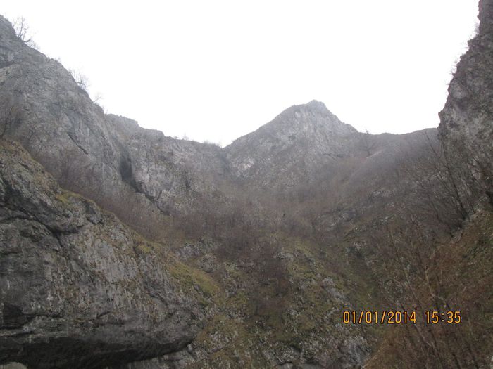 IMG_1971 - Pe Valea Sohodolului in ianuarie