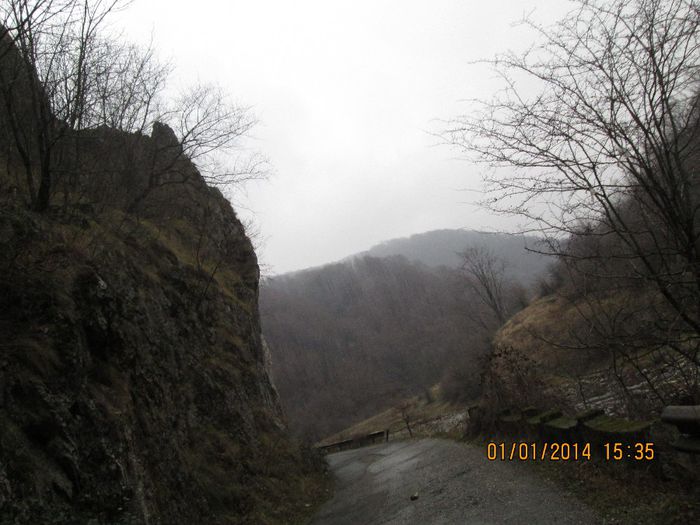 IMG_1979 - Pe Valea Sohodolului in ianuarie