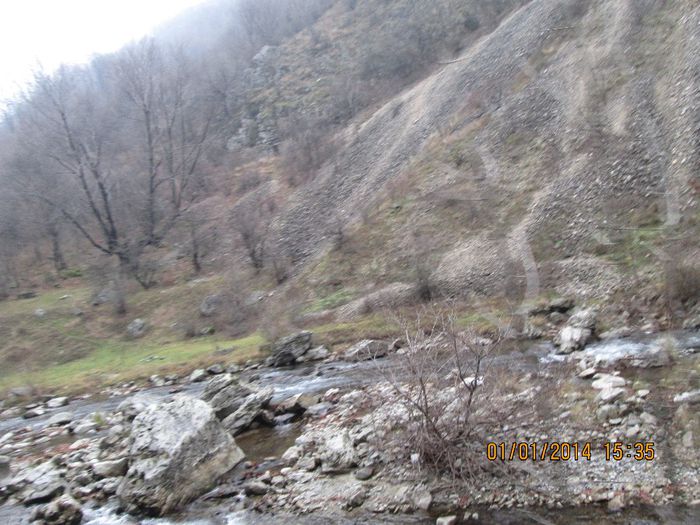 IMG_1980 - Pe Valea Sohodolului in ianuarie