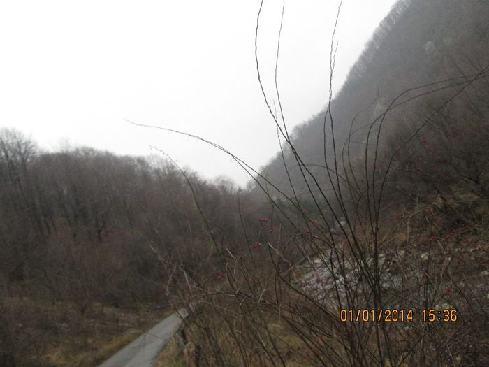 IMG_1987 - Pe Valea Sohodolului in ianuarie