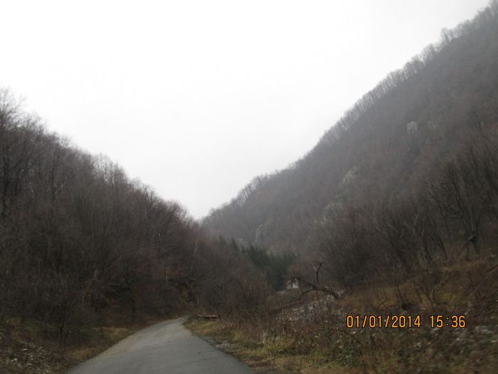 IMG_1988 - Pe Valea Sohodolului in ianuarie