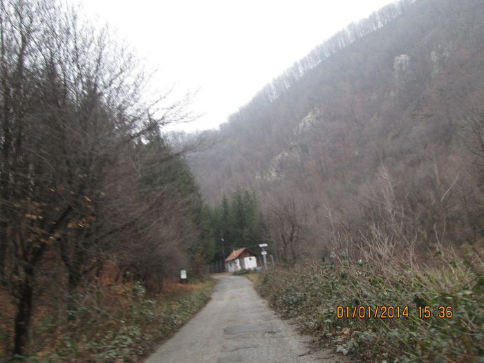 IMG_1992 - Pe Valea Sohodolului in ianuarie