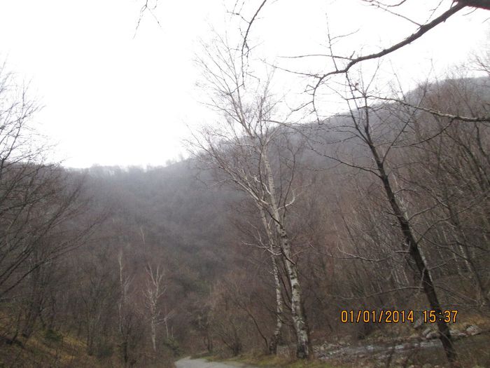 IMG_2001 - Pe Valea Sohodolului in ianuarie